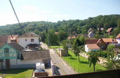 Mutzig Apartment | Gîte Le Jardin de Hermolsheim. Alsace très spacieux