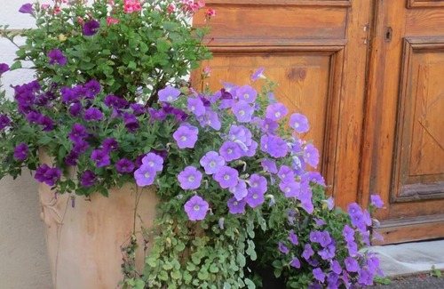 Ferrette Cottage | Gîte « Sud Alsace »* (4-6)