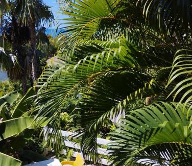 Marigot Apartment | Gîtes TAINACO