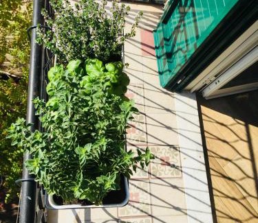 Palermo Apartment | Gò Gò House 2 Casa Aprile