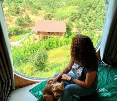 Bao Loc Cabin | Gạo hạt dẻ homestay