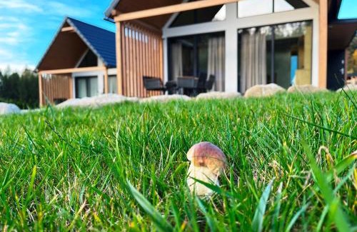 Stronie Slaskie House | Galena i Gnejs