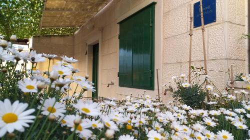 Postira Apartment | Garden apartment with a View