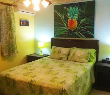 El Batey Apartment | Garden condos