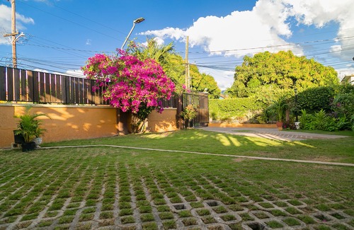 Eastwood Park Apartment | Garden of Bliss#2, RedHill Fishpond, Kingston