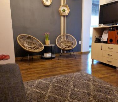 Satu Mare Apartment | Garden