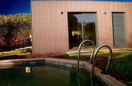 Meyzieu Apartment | Garden studio with pool view