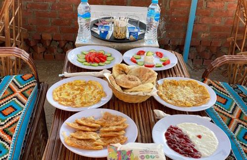 Aswan Bed & Breakfast | Garden view