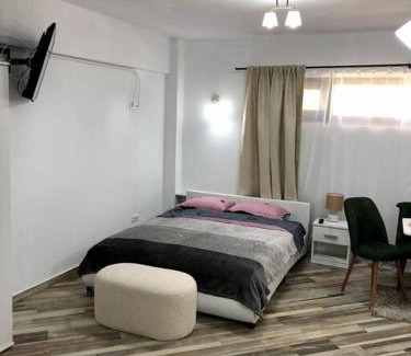 Ramnicu Valcea Apartment | Garsonieră- Bulevard Dem Rădulescu