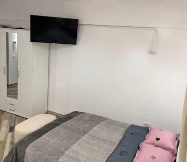 Ramnicu Valcea Apartment | Garsonieră- Bulevard Dem Rădulescu