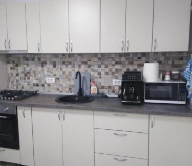 Ramnicu Valcea Apartment | Garsonieră- Bulevard Dem Rădulescu