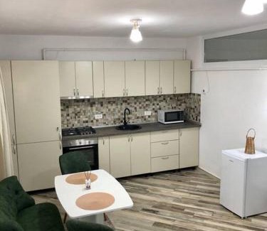 Ramnicu Valcea Apartment | Garsonieră- Bulevard Dem Rădulescu