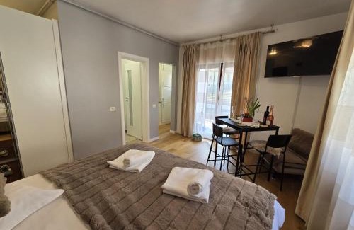 Sinaia Apartment | Garsonieră La Mănăstire