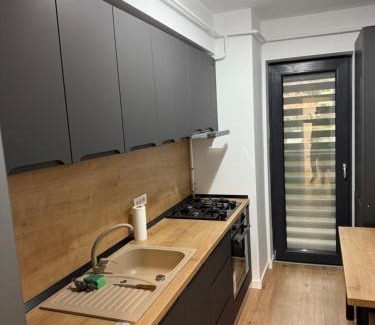 Ramnicu Valcea Apartment | Garsonieră Park Residence Vâlcea