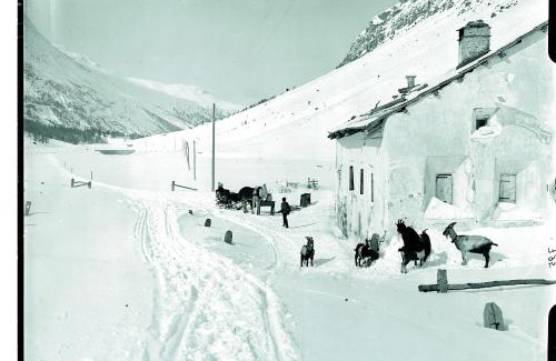 Pontresina Hotel | Gasthaus & Hotel Berninahaus