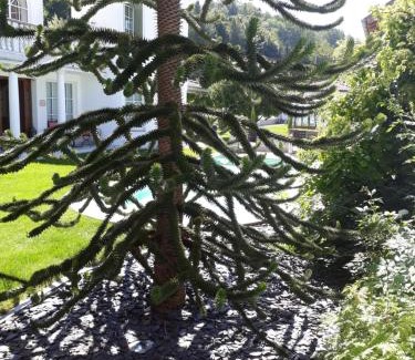 Mauerkirchen Hotel | Gasthof Ginzinger