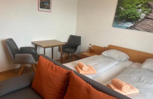 Weyregg am Attersee Hotel | Gasthof mit Seeterasse & Appartements Zur Landeroith