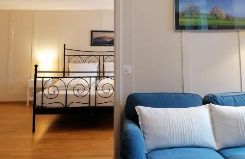 Bad Zurzach Hotel | Gasthof zur Waag