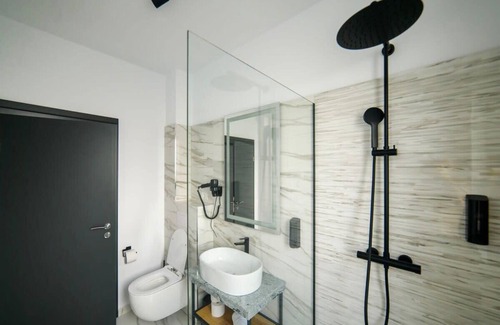 Timisoara Hotel | GBU Home - Olive Tween Room 206