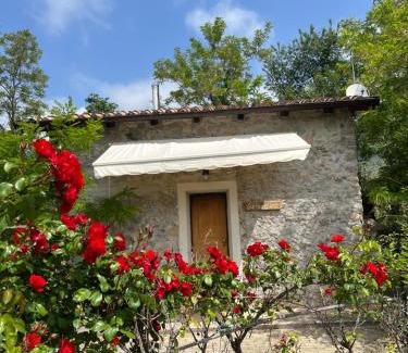 Morano Calabro Bed & Breakfast | Gelsomino