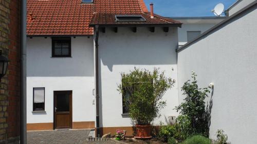 Mainz-Bingen Apartment | Gemütliche Ferienwohnung in Ockenheim
