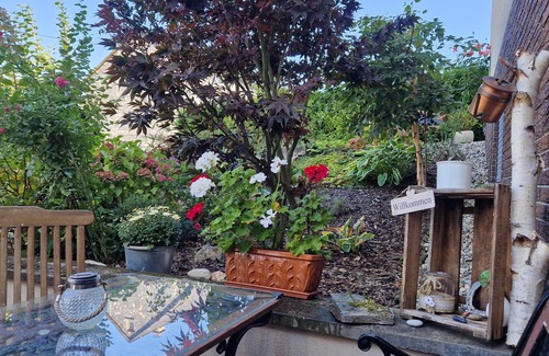 Veldenz Apartment | Gemütliche Ferienwohnung bei Bernkastel-kues, Ideal zum Wandern und Radfahren