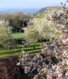 Doerentrup Apartment | Gemütliche FeWo im Fachwerkhaus