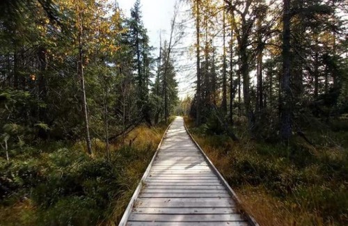 Dobel Apartment | Gemütliches Apartment am Kurhaus in Dobel