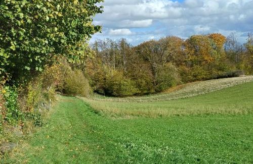Rederscheid Apartment | Gemütliches Ferienapartment Für jedes Budget