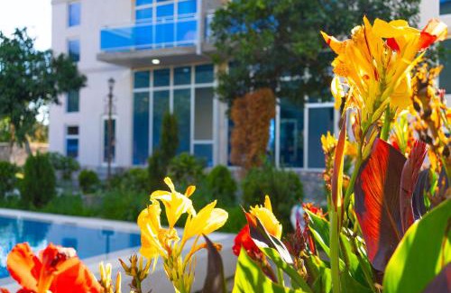 Gonio Hotel | GeorG PalacE