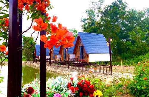 Van Chan Apartment | Giáp Hoài Homestay Suối Khoáng Nóng Bản Hốc