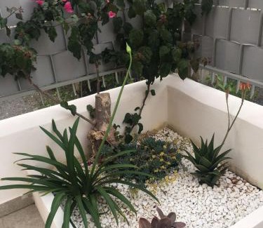 Scalea Apartment | Gilda’s Home