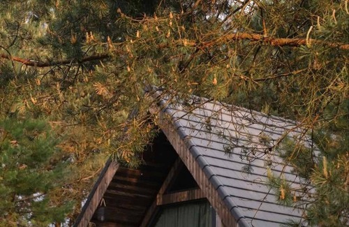 Alytus county Cabin | Gintarės namelis - Exclusive accommodation in nature