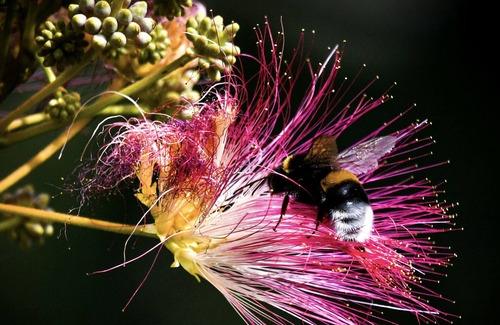 Olonne-sur-Mer Cottage | Gite 2 to 5 people Destination Les Sables D'Olonne