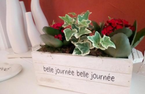 Herbeumont House | Gite d'Arbûmont