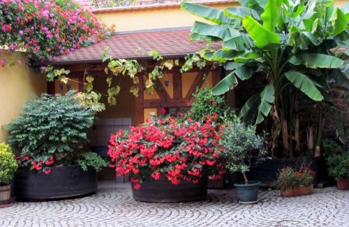 Itterswiller Apartment | Gite Fruehmess