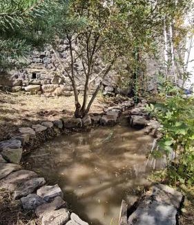 Saint-Anastaise Apartment | Gite La Lumette
