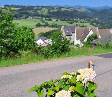 Saint-Cernin House | Gite puy Chavaroche met uniek uitzicht