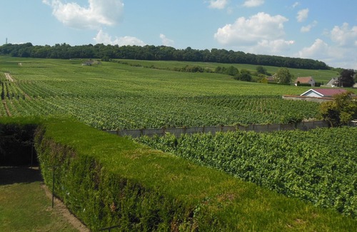 Vertus House | GITE THE SEVERIN HOUSE IN THE HEART OF THE VINEYARDS