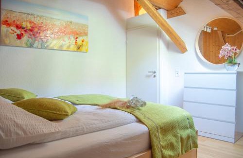 Triberg im Schwarzwald Apartment | Glück und SPA in Triberg