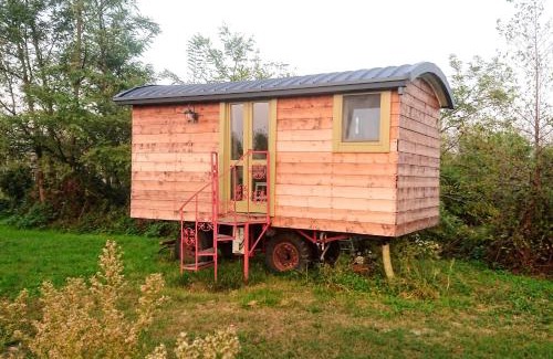 Albairate House | Glamping Casetta sul lago