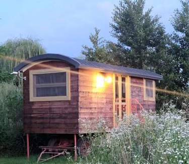 Albairate House | Glamping Casetta sul lago
