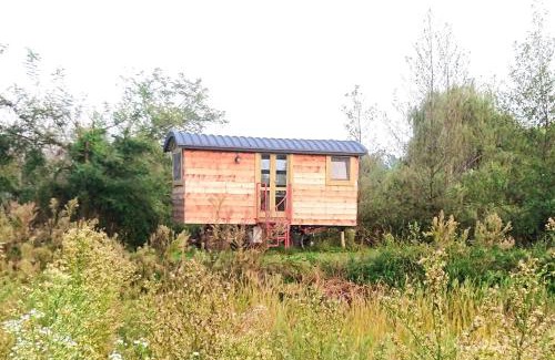 Albairate House | Glamping Casetta sul lago