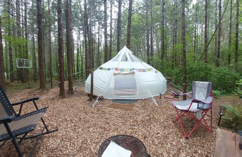 Belfair RV Rental | Glamping in the magical forest of Elfendahl.