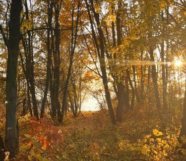Liptovsky Trnovec Other | Glamping Liptov