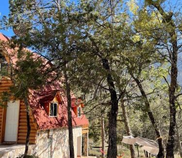 Arteaga Other | Glamping MORET Cabaña Alpina M2