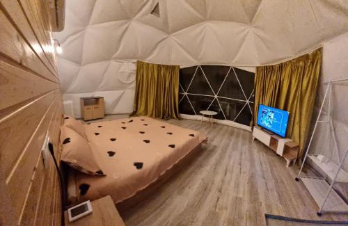 Mihaesti Other | GlampingDenis Igloo