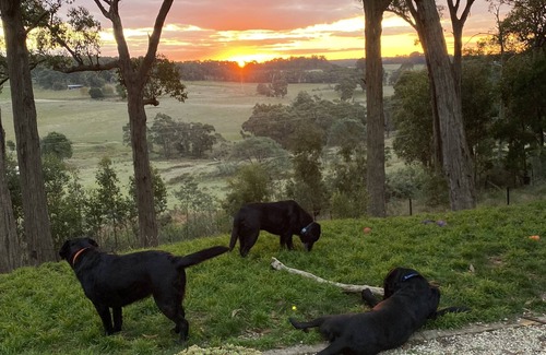 Woodend Apartment | Glorious country views- Pet friendly