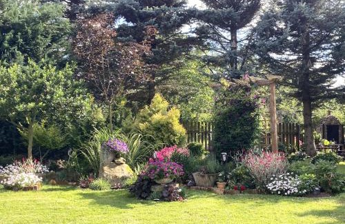 Czerniawa-Zdroj Apartment | Gościniec Pod Bukiem