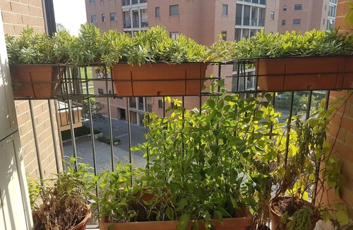 Lorenteggio Apartment | Gonin Apartment Travel Inside
